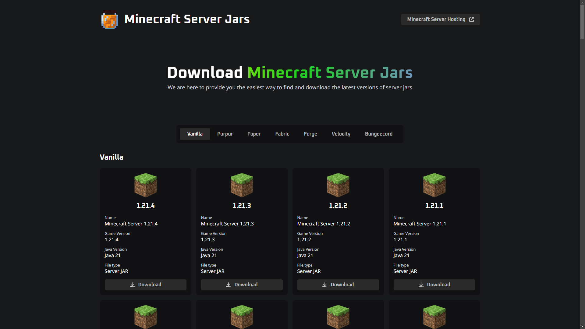 Obrázek projektu Minecraft server jars - Sára Hýžová