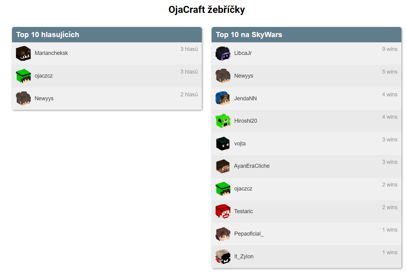 Obrázek projektu OjaCraft - Sára Hýžová