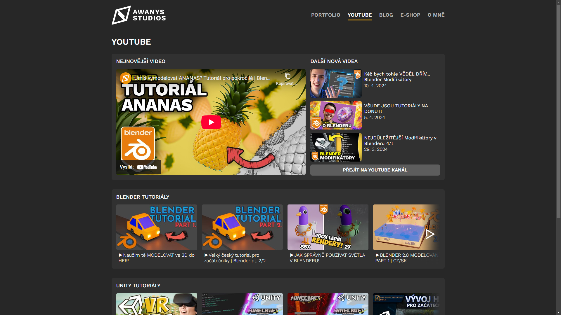 Obrázek projektu Awanys - Sára Hýžová